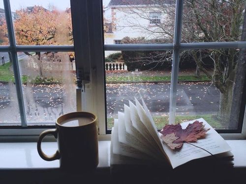 Libros para un día lluvioso