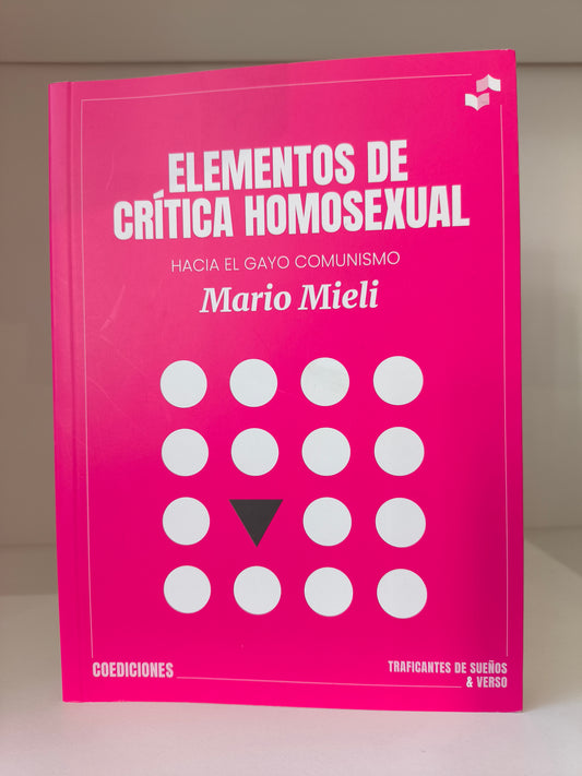 Elementos de crítica homosexual