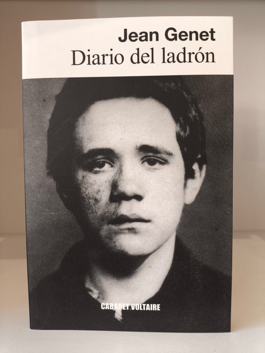Diario del ladrón